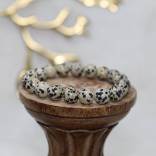 Dalmatian Stone Beaded Bracelet Bracelets Stone for Joyful Fun 10mm Bead Dalmatian Stone 