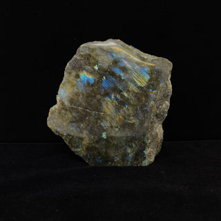 Labradorite Partially Raw Display Specimen - Gold & Blue Flash