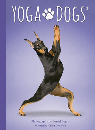 Yoga Dogs Deck & Book Set Tarot & Inspiration US GAMES 