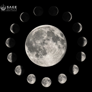 November New Moon