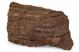 Permineralized Wood from Germany