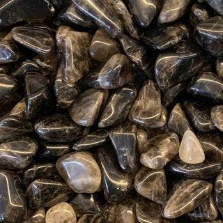 Smoky Quartz crystal with deep translucent brown tones and grounding energy
