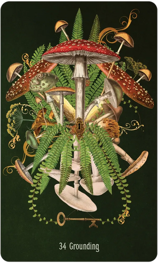 Illustration of mushrooms and ferns with a key, labeled '34 Grounding', on a dark background.