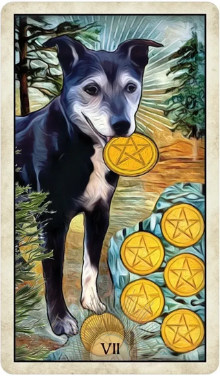 Card with a dog holding pentacle symbols and number 'VII' on a nature-themed background