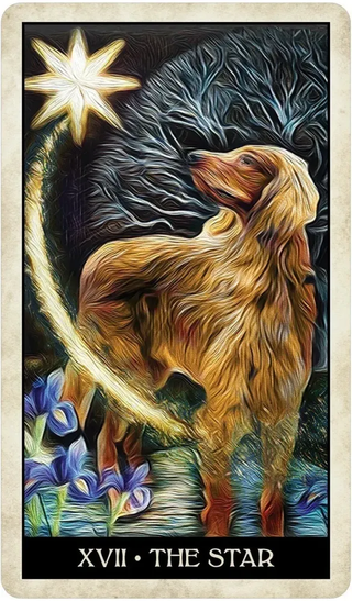 Tarot card featuring a dog with a star and flowers