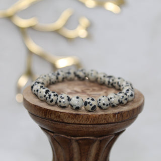 Dalmatian Stone Beaded Bracelet Bracelets Stone for Joyful Fun 8mm Bead Dalmatian Stone 