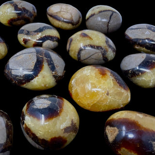 Septarian Gallet Stone