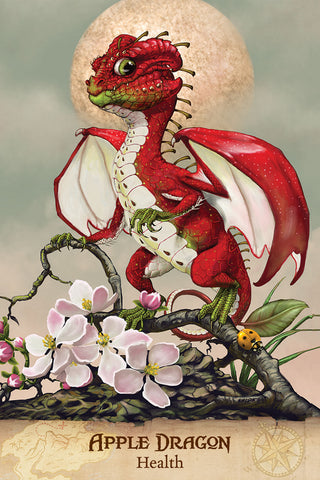 Field Guide To Garden Dragons Tarot & Inspiration US GAMES 