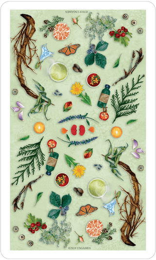 The Herbcrafter’s Tarot Tarot & Inspiration US GAMES 