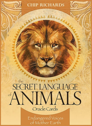 The Secret Language of Animals Oracle Cards Tarot & Inspiration US GAMES 