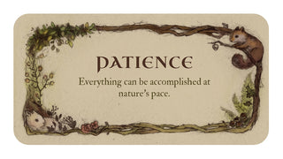 Whispering Woods Inspiration Cards Tarot & Inspiration US GAMES 