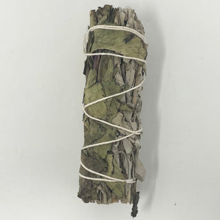 White Sage and Peppermint Smudging Stick Smudging Sage Spirits 